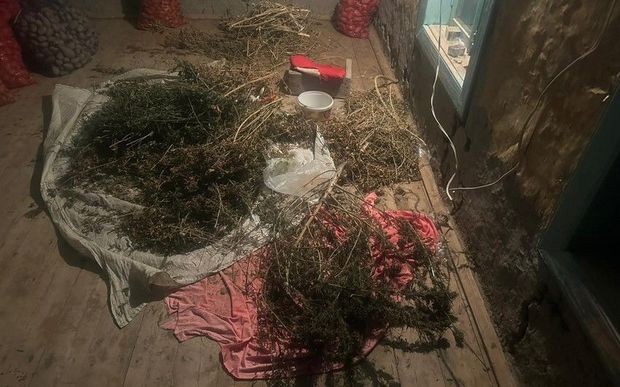 Sabirabad sakininin evində külli miqdarda narkotik aşkarlanıb - FOTO