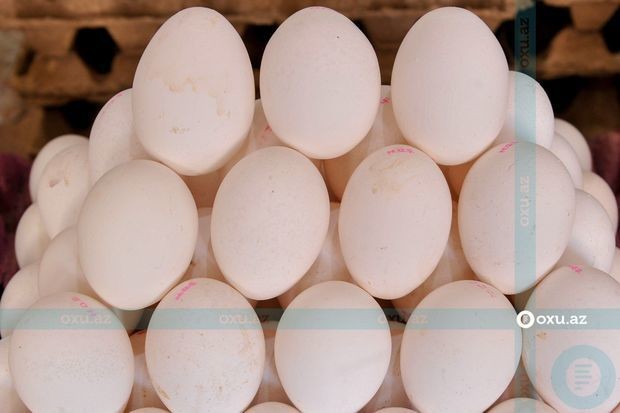 Azərbaycan bir ayda Rusiyaya milyonlarla yumurta tədarük edib