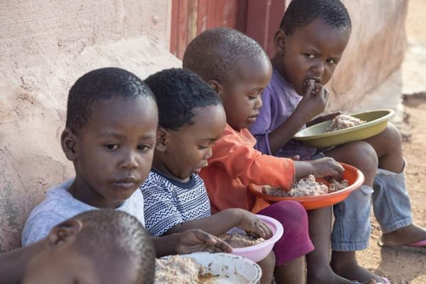 Tanzaniyada tısbağa əti səkkiz uşağı öldürdü: 78 nəfər xəstəxanalıq oldu