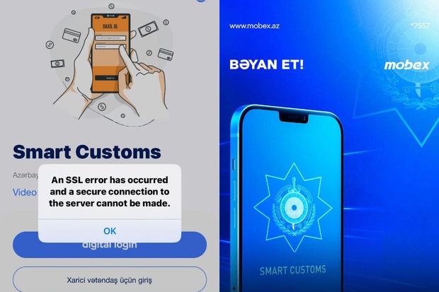 “Smart Customs” tətbiqində problem yaşanır - FOTO