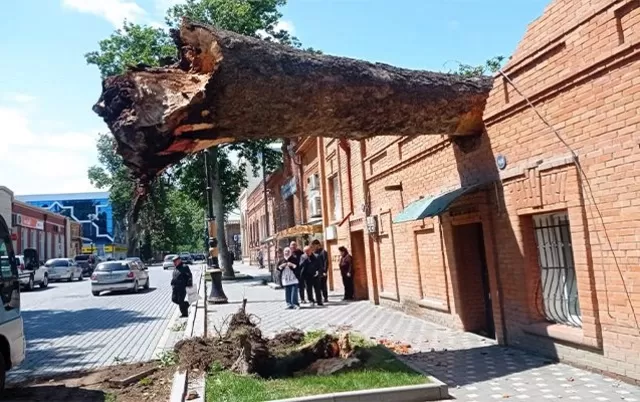 Gəncədə güclü külək qaz borularını zədələyib, evin damını uçurub