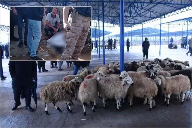 Qurbanlar kəsilməzdən əvvəl qanlar töküldü: Şanlıurfada dəhşət