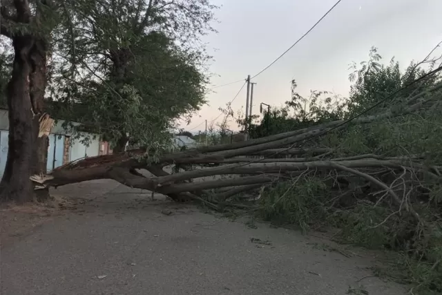 Azərbaycanda güclü külək həyatı iflic etdi: Bir çox yer işıqsız qaldı, maşınlara ziyan dəydi