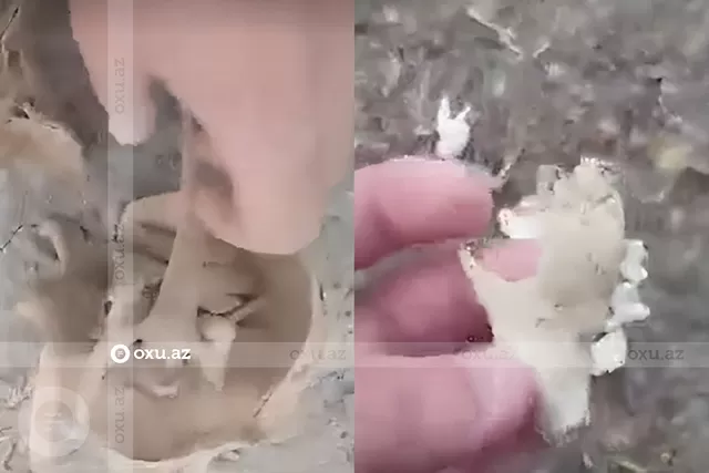 Bel vuran kimi insan sümükləri çıxır: Həsənqalada tarixi abidə niyə qorunmur?
