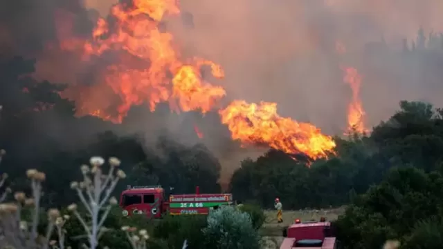 Türkiyədə meşə yanğınları: İzmir, Bolu, Manisa təbii fəlakətin cəngində