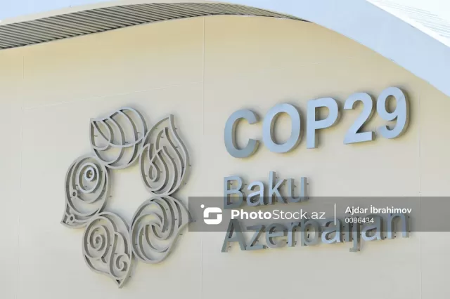 COP29 könüllüləri Xəzər dənizinin Lənkəran sahilində təmizlik aksiyasında iştirak ediblər