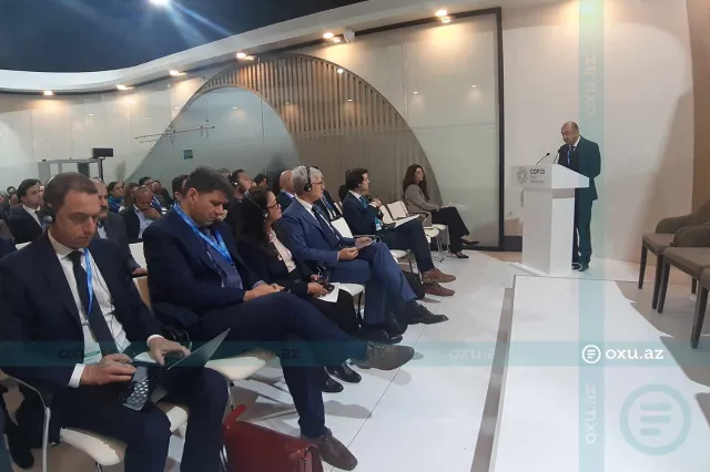 COP29-da iqlim dəyişikliyi və biomüxtəliflik arasında əlaqə məsələləri müzakirə olunub