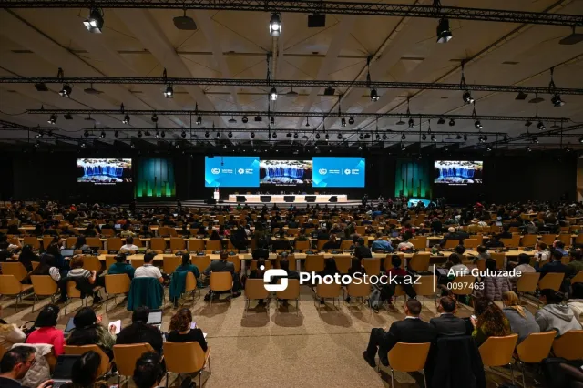 COP29 Paris Sazişinin iki maddəsini qəbul edib