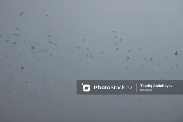 Dumanlı hava şəraiti nə vaxtadək davam edəcək?