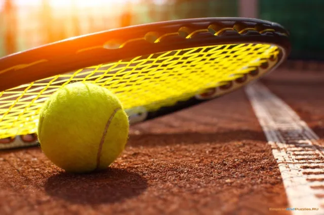 Tennis matçı atışmaya görə dayandırıldı