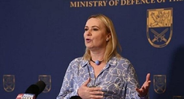 Müdafiə naziri qəzaya düşdü