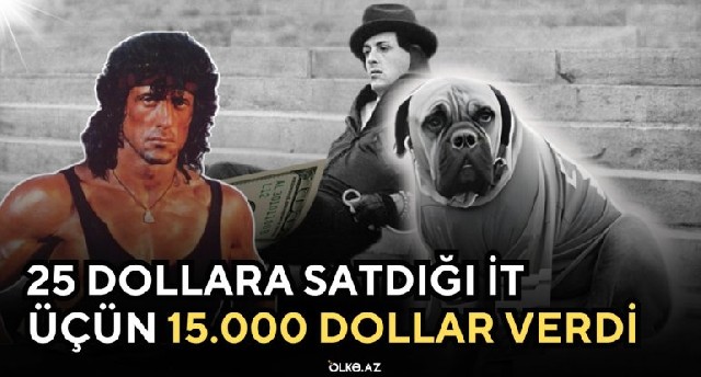 Doğuş zamanı iflic oldu, yoxsulluqdan satdığı itini 15 minə aldı, yazdığı ssenari ilə əfsanəyə çevrildi - Stallonenin hekayəsi - VİDEO