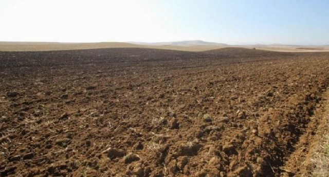 Azərbaycanda növbəti torpaq hərracları elan edilib