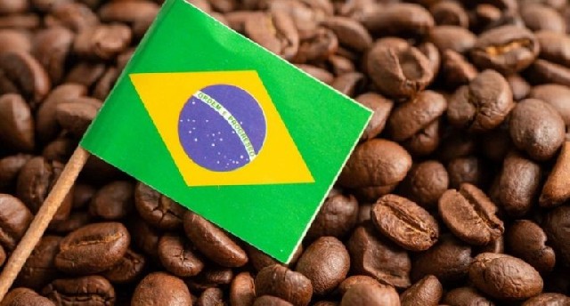 Braziliyadan dünya bazarına qəhvə tədarükü kəskin şəkildə azaldı