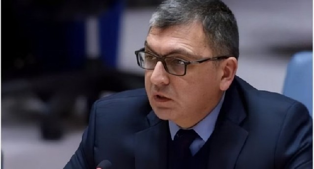 "Mina təhlükəsi ilə mübarizədə beynəlxalq dəstəyə ehtiyac var"