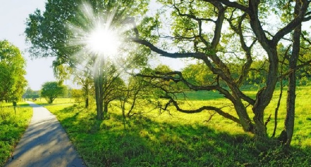 Havanın maksimal temperaturunun qeydə alındığı ərazilər açıqlandı