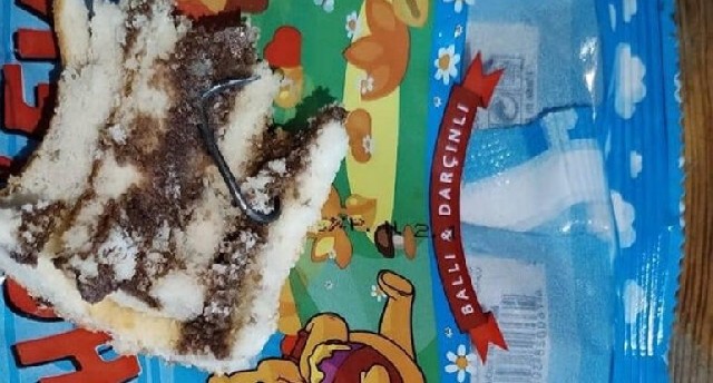 Uşaq peçenyesinin içindən dəmir parçası çıxıb? - FOTOLAR