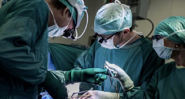 Alimlər reanimasiyasız şəkildə donor ürəyini "diriltmək" üsulu kəşf etdi