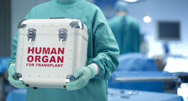 Hazırda 1021 nəfər orqan transplantasiyası üçün növbədədir - RƏSMİ