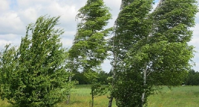 Sabahın hava proqnozu açıqlandı